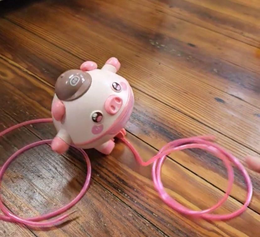 Pig – Walking Tightrope Toy for Children